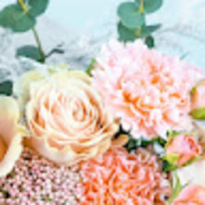 Meet your Posher, Lydia